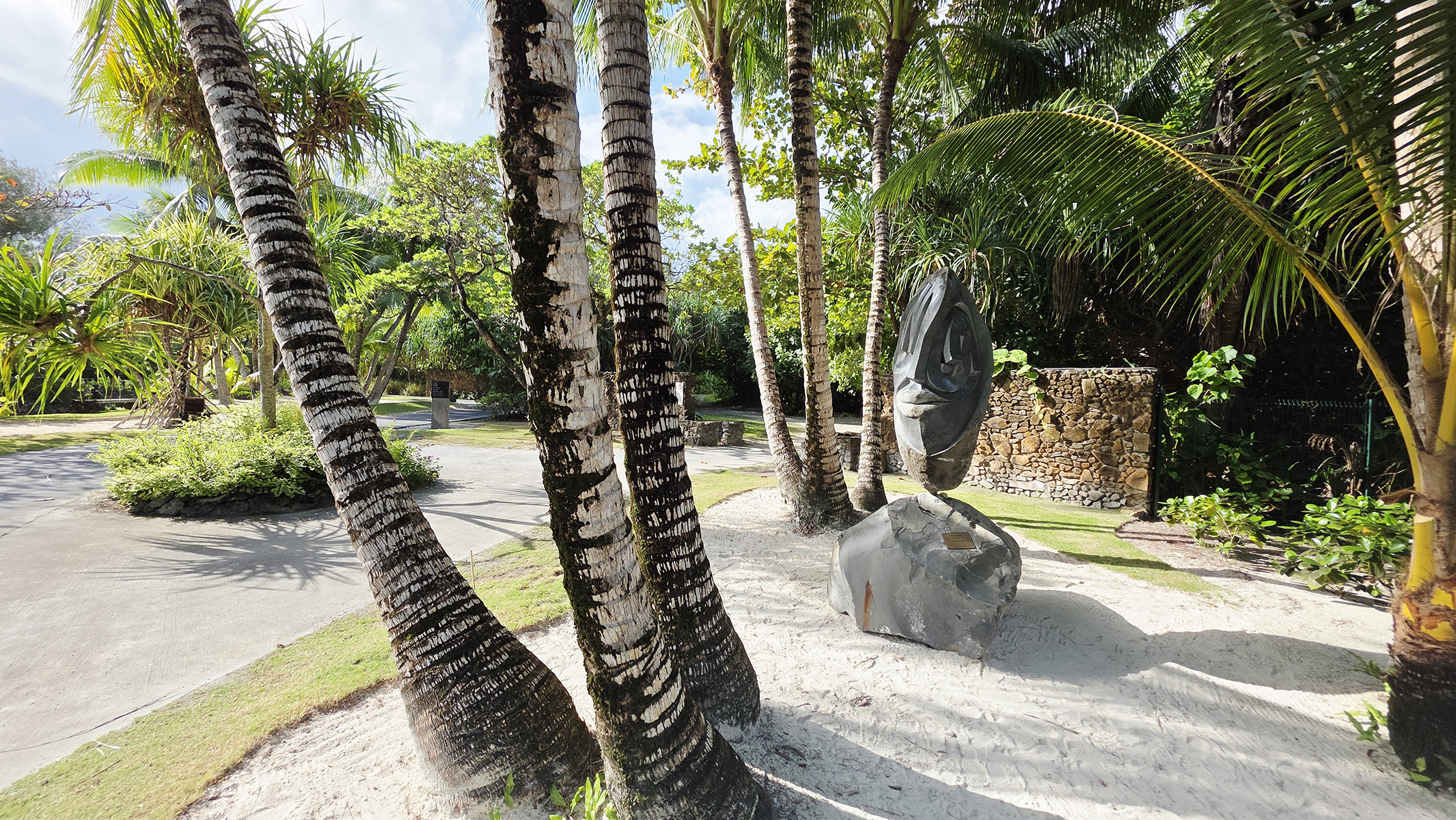 20250828_152901 copie