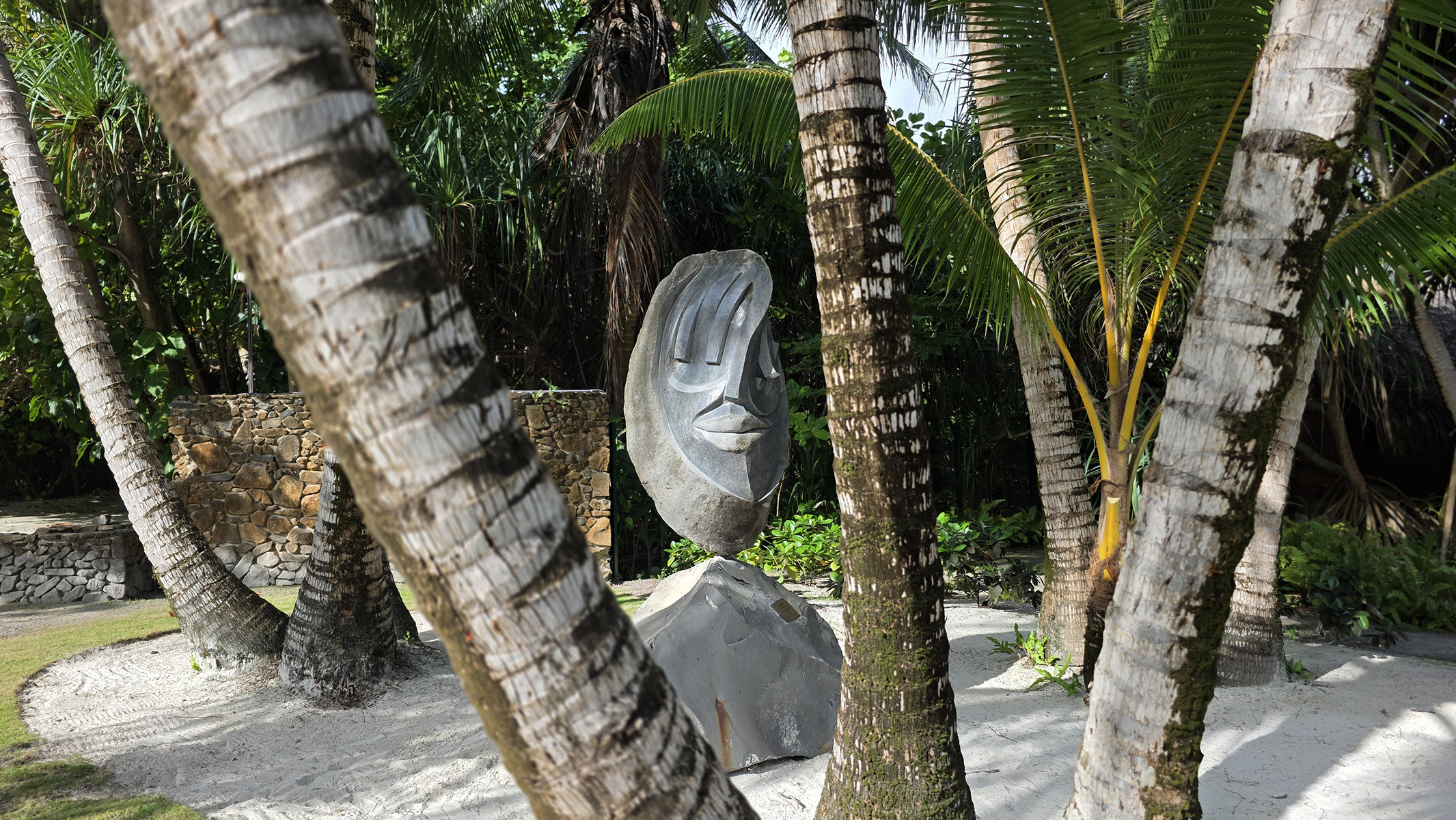 20250828_153156 copie